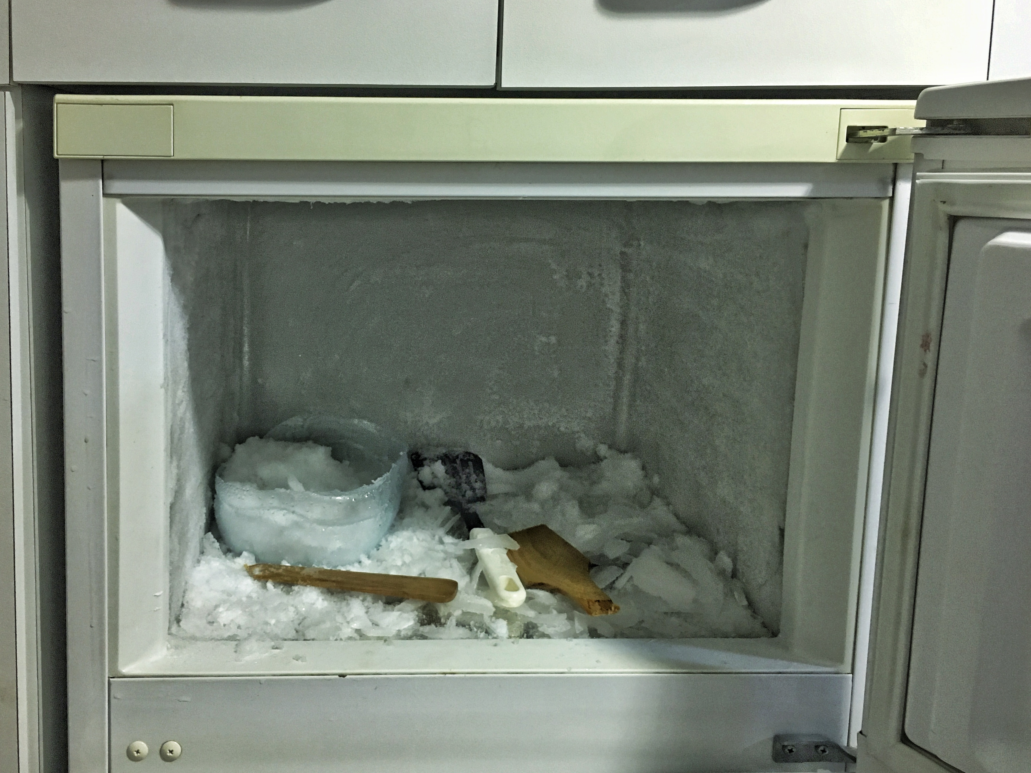 the frozen fridge compartment
