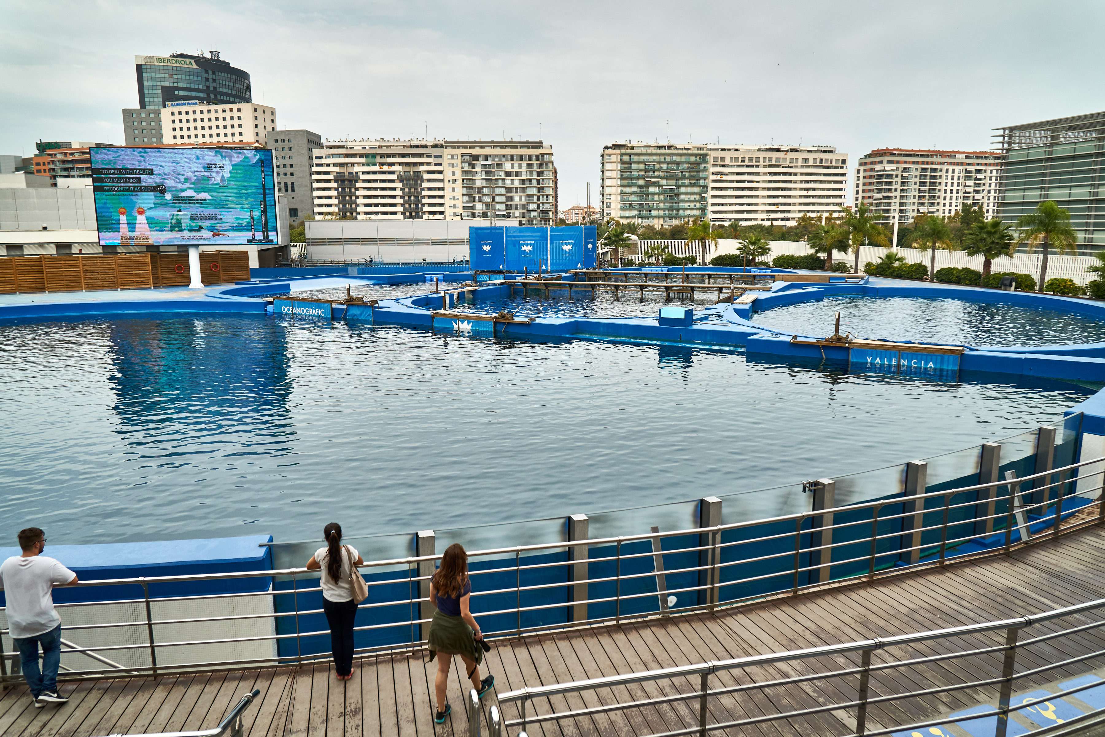 Shot of the entire dolphinarium