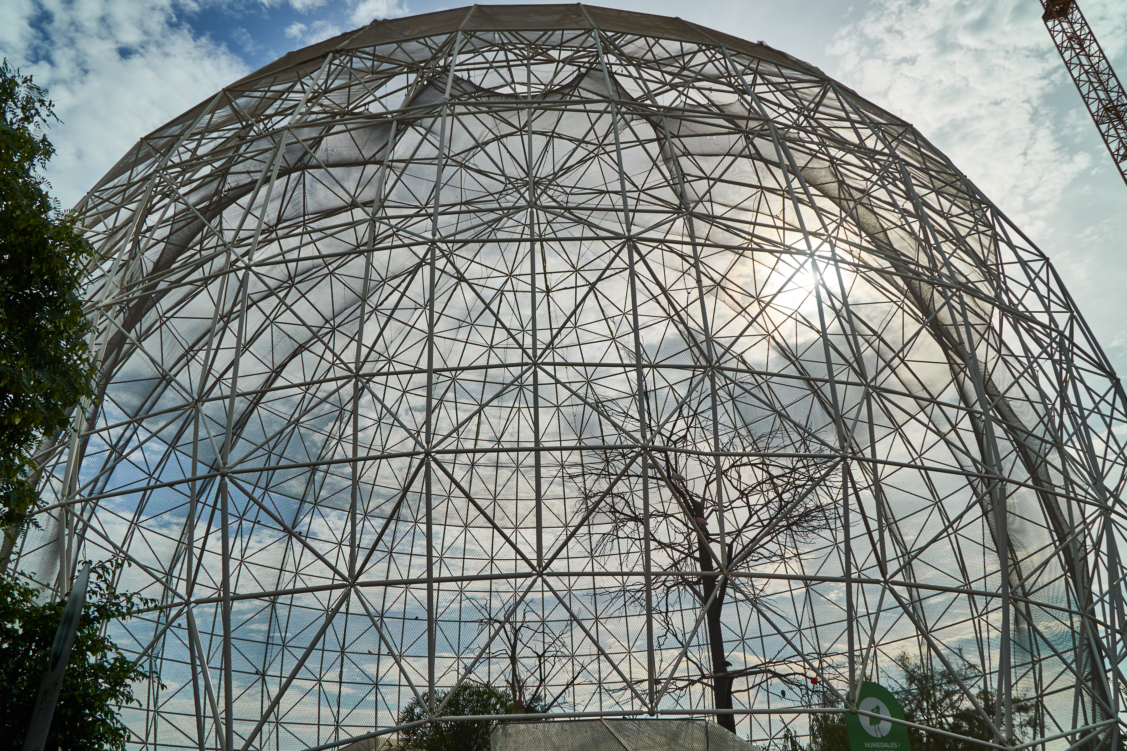 in front of the big birdcage ball