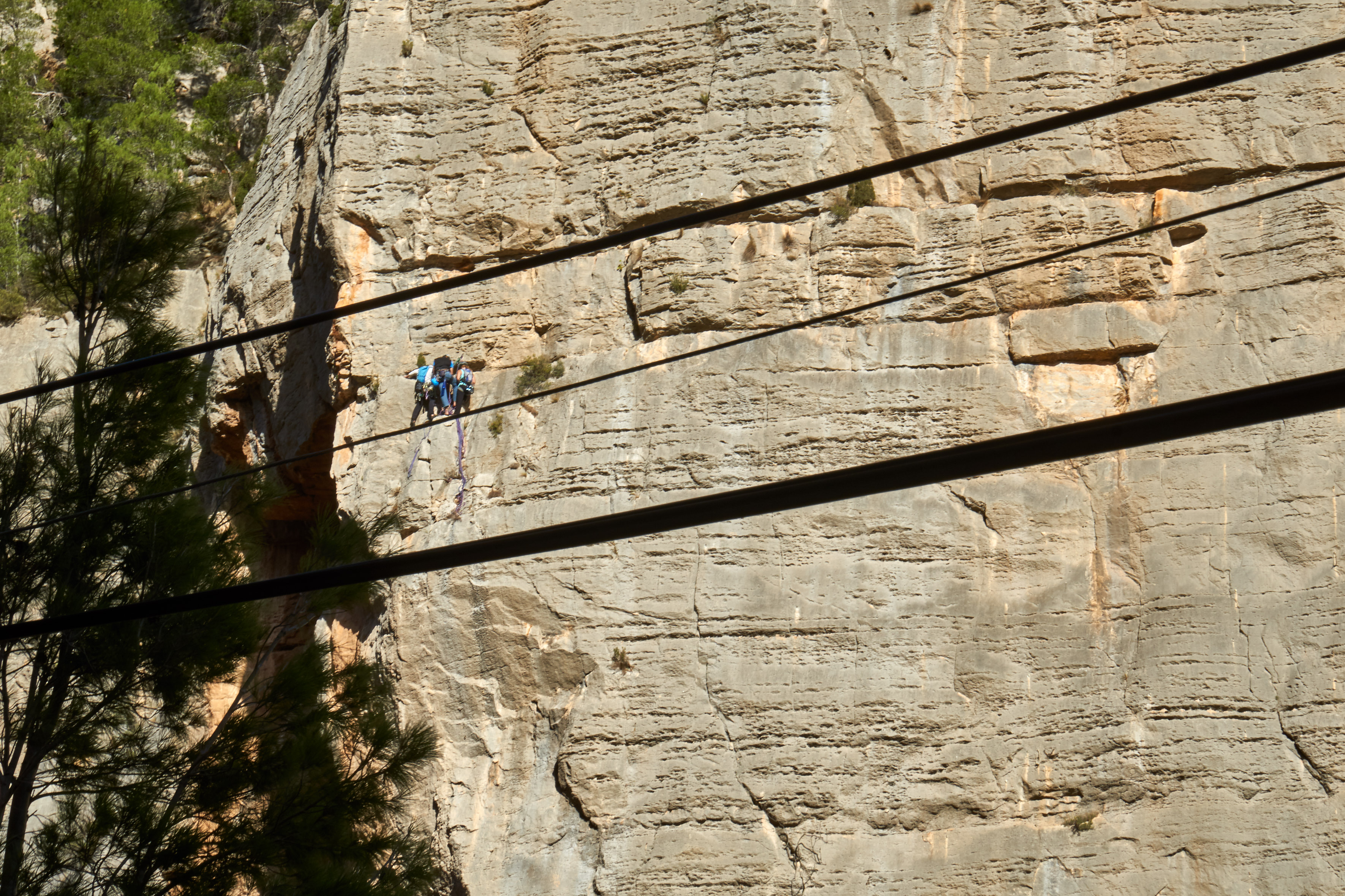 Some very tiny climbers balancing on a powerline